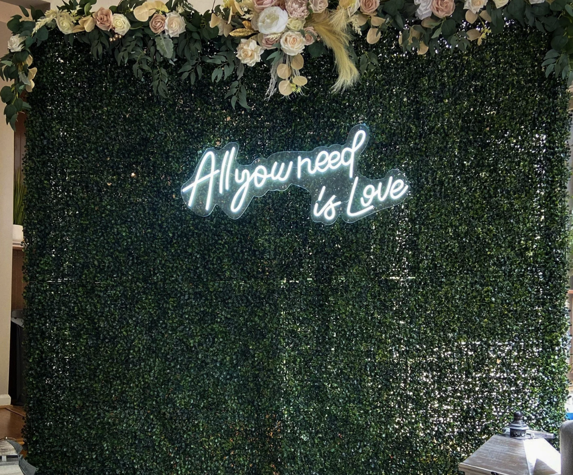 ALL YOU NEED IS LOVE